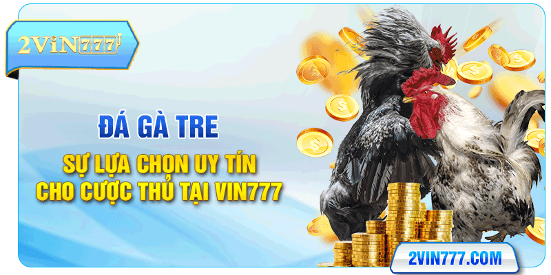 Đá Gà Tre - Sự Lựa Chọn Uy Tín Cho Cược Thủ Tại Vin777