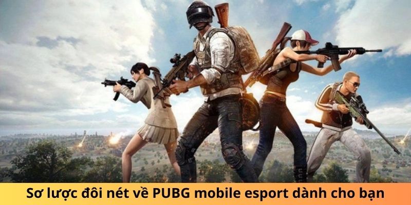 Sơ lược đôi nét về PUBG mobile esport dành cho bạn